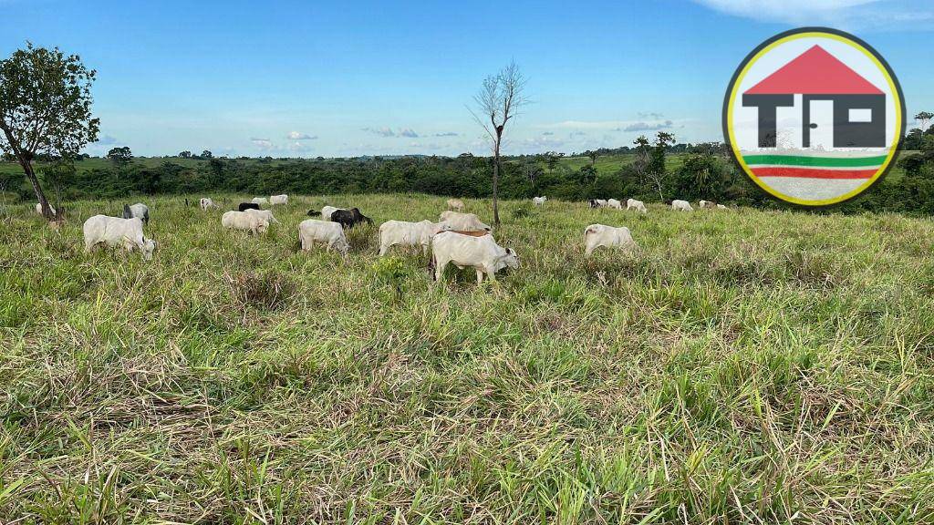 Fazenda à venda, 1645600M2 - Foto 3