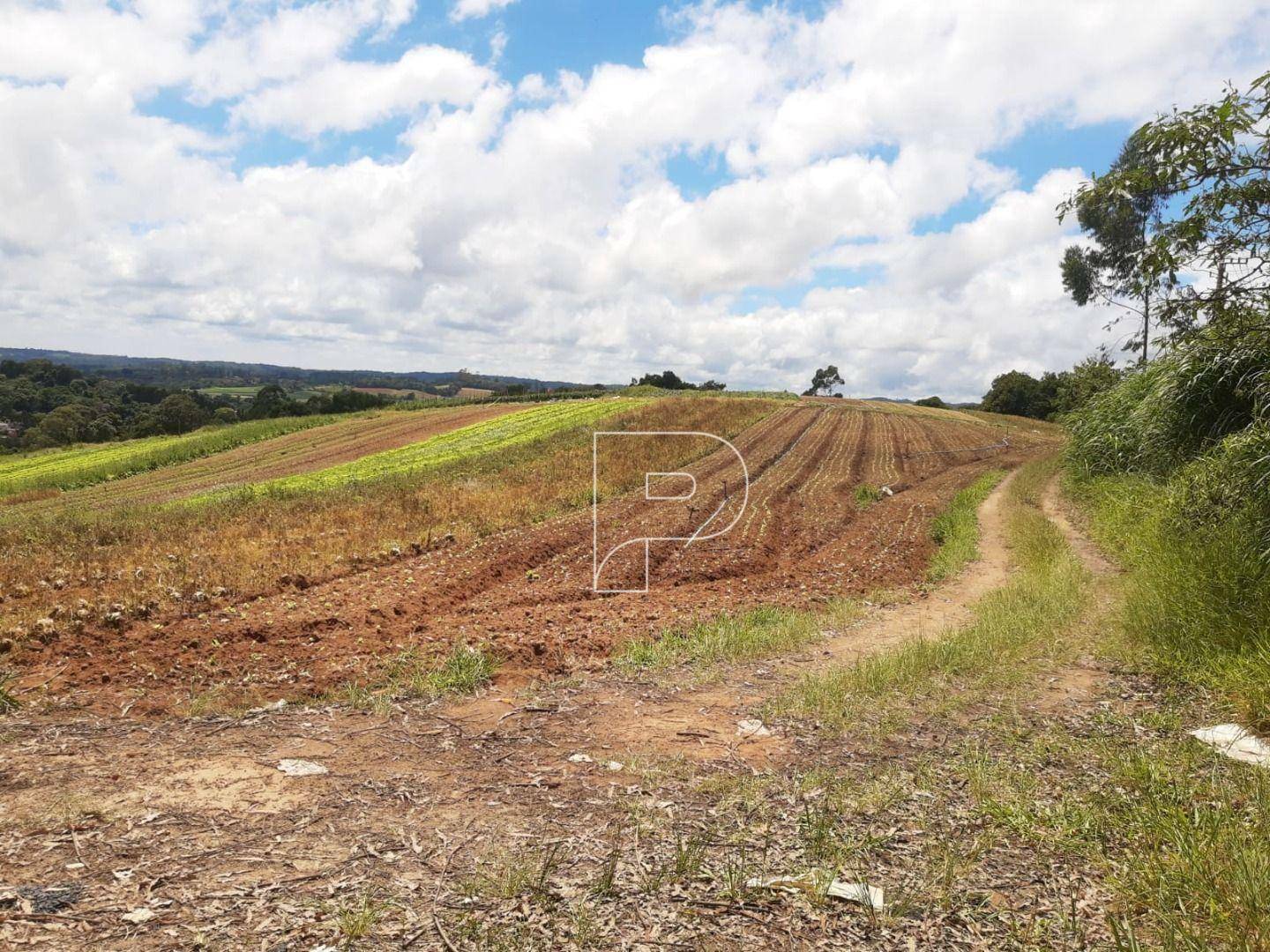 Terreno à venda, 39000M2 - Foto 34