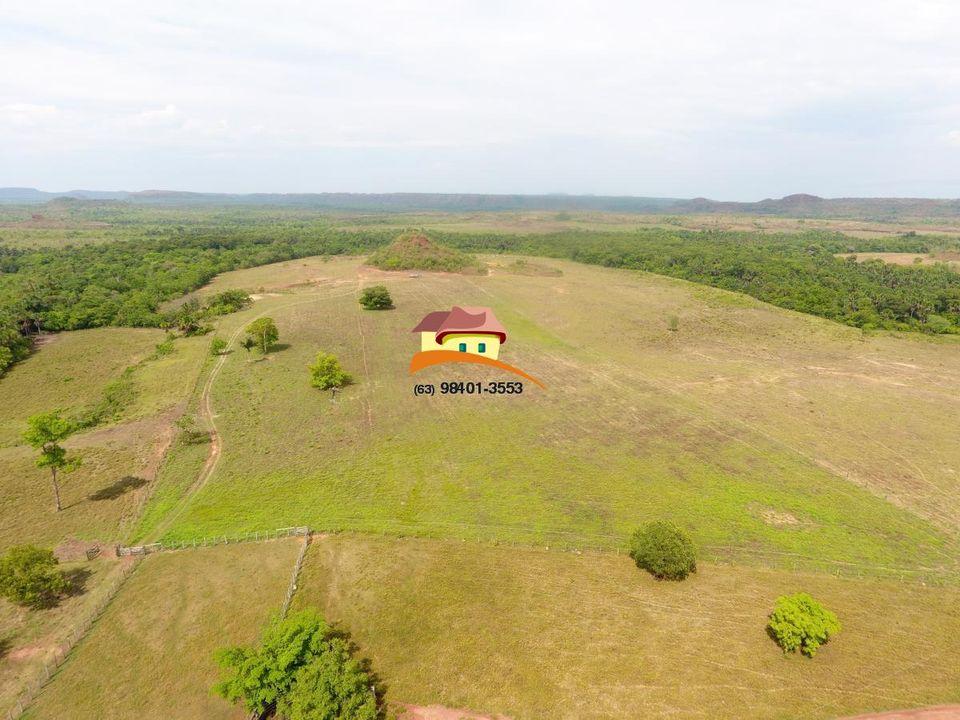 Fazenda à venda, 1m² - Foto 6