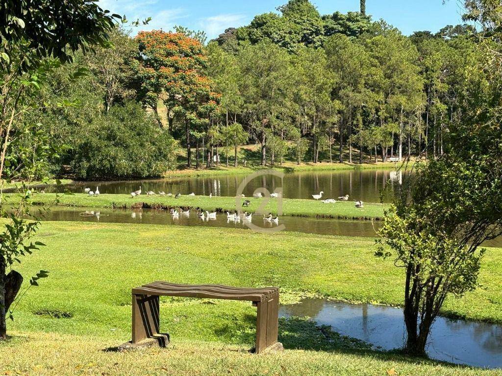 Casa de Condomínio à venda com 3 quartos, 600m² - Foto 26