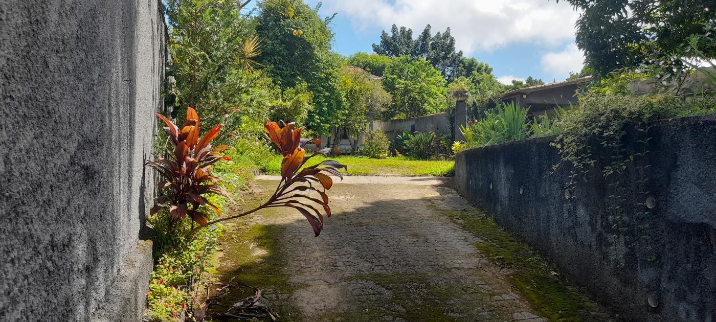 Fazenda à venda com 3 quartos, 1500m² - Foto 24