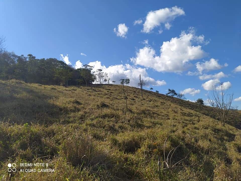 Terreno, 6 hectares - Foto 16