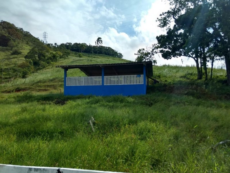 Fazenda à venda, 280m² - Foto 2