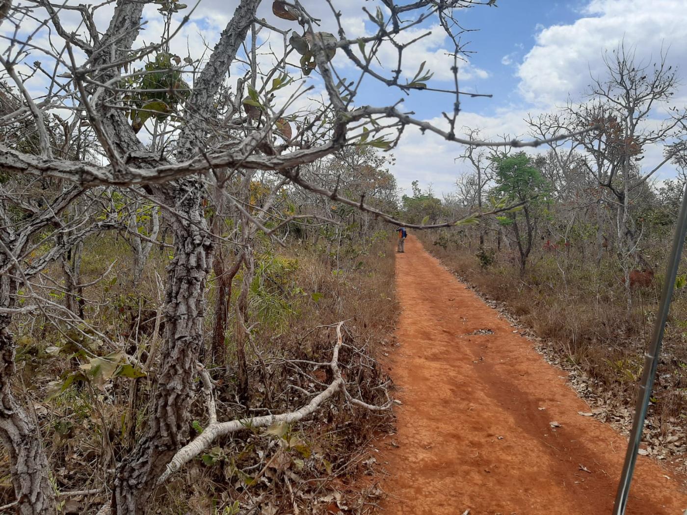 Fazenda à venda, 20000m² - Foto 6