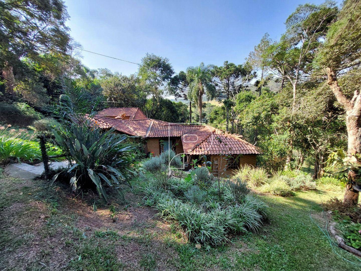 Chácara à venda com 3 quartos, 250m² - Foto 49