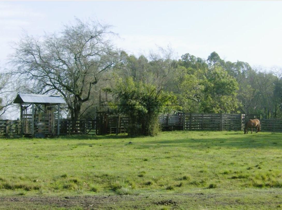 Fazenda à venda, 116m² - Foto 8