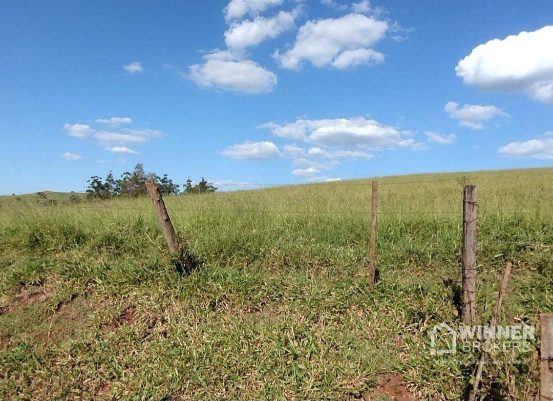 Fazenda à venda com 2 quartos, 2299000M2 - Foto 3