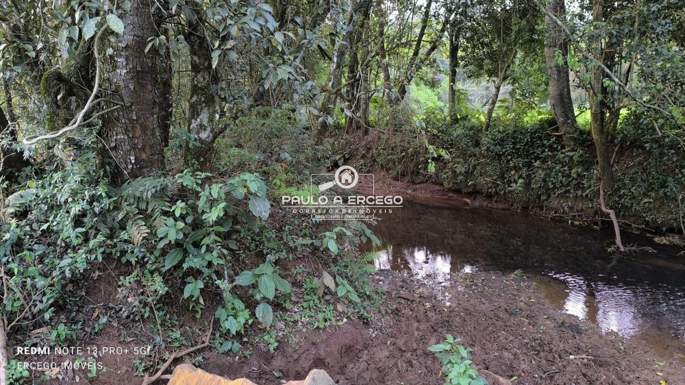 Fazenda à venda, 6m² - Foto 4