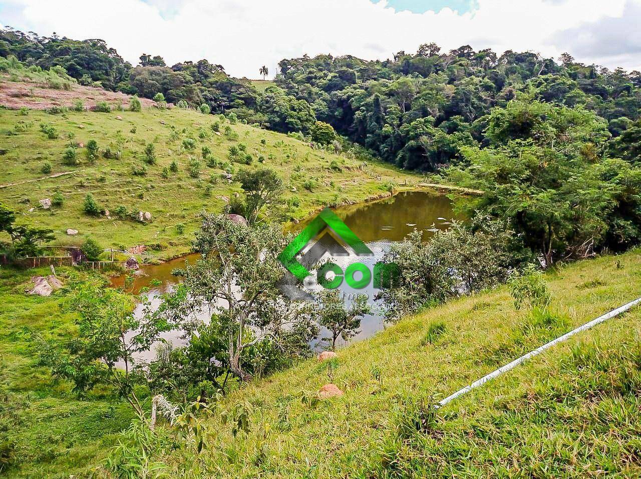 Terreno, 2 hectares - Foto 1