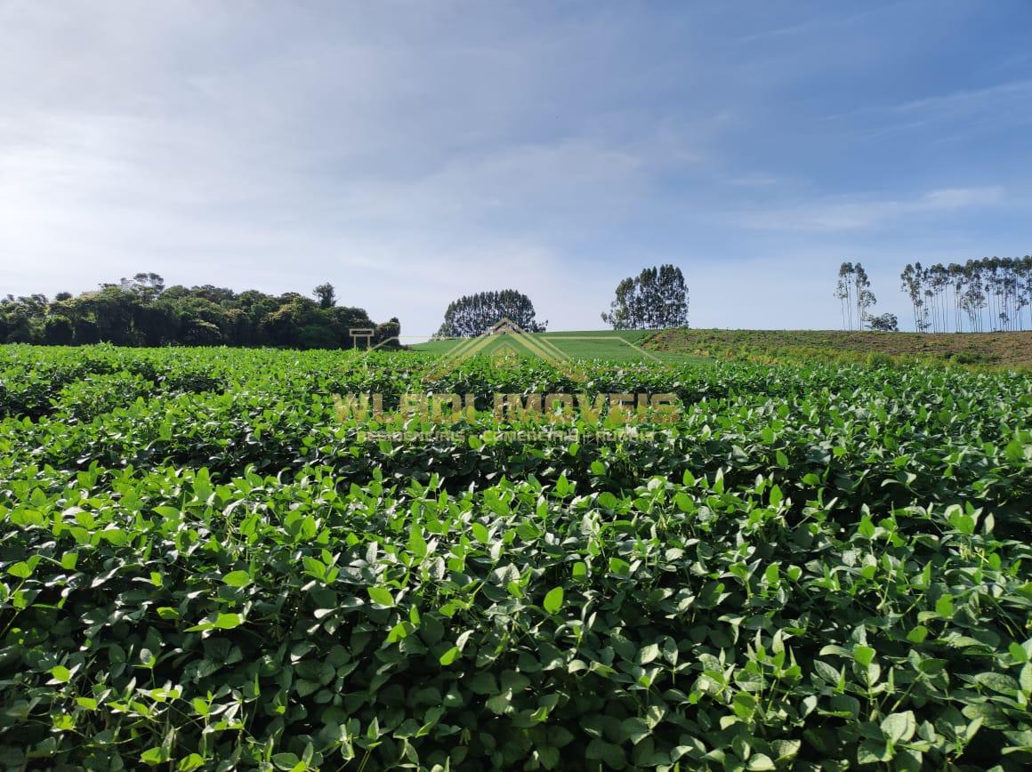 Fazenda à venda, 300m² - Foto 24