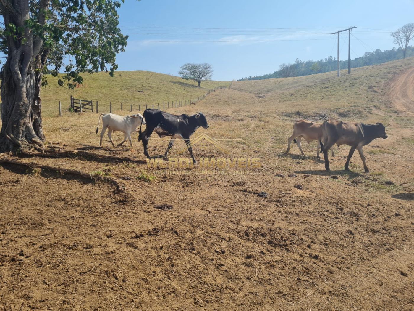 Fazenda à venda, 417m² - Foto 4