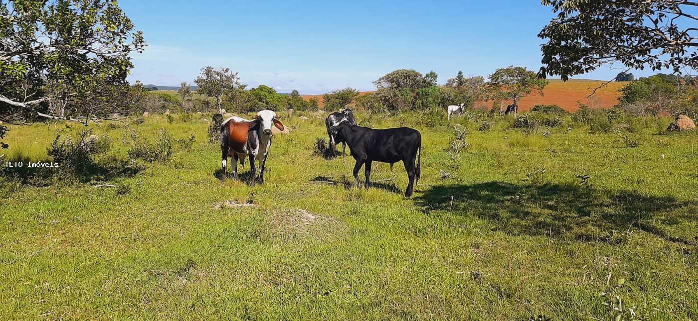 Fazenda à venda, 77m² - Foto 27