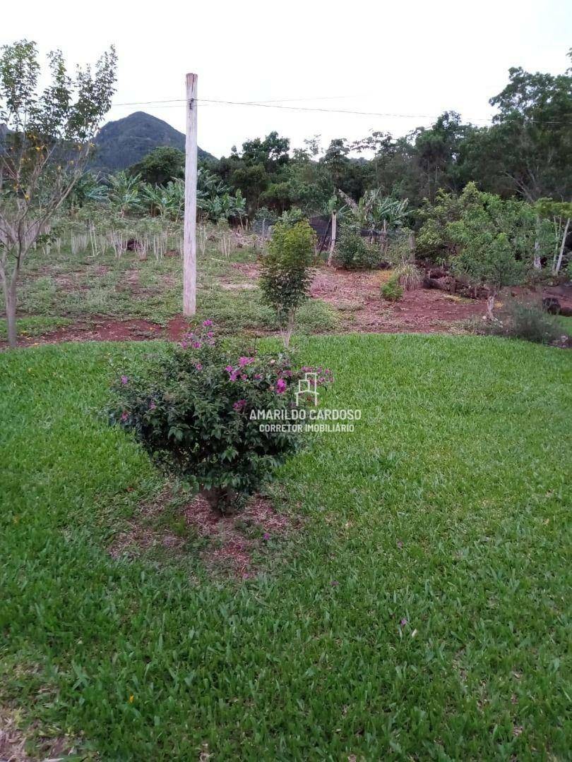 Chácara à venda com 3 quartos, 25000M2 - Foto 14