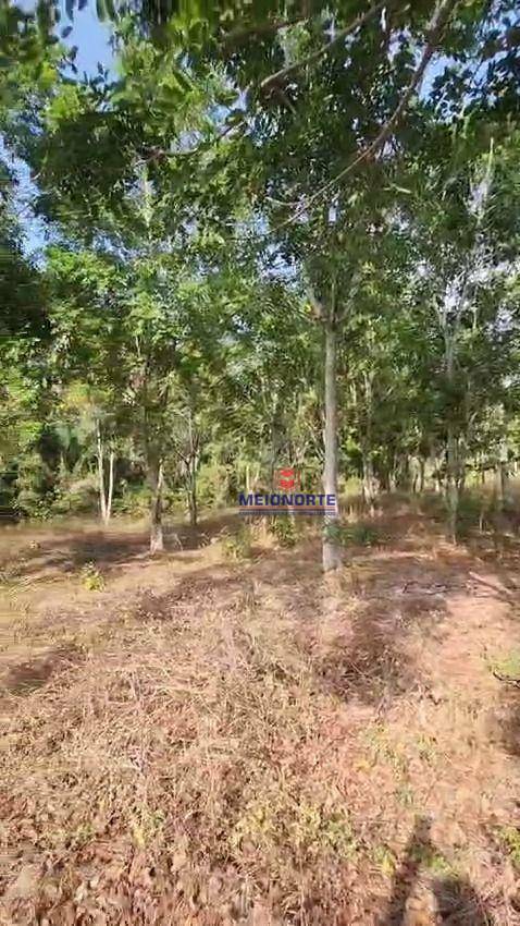 Fazenda à venda com 2 quartos, 300000M2 - Foto 28