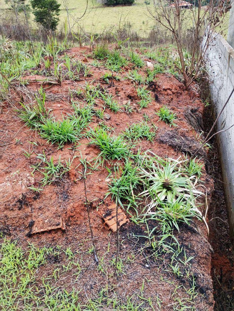 Terreno à venda, 2062M2 - Foto 2