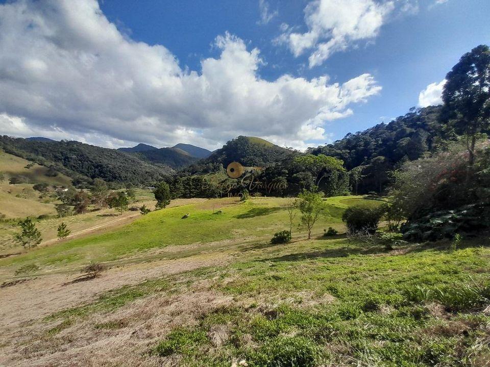 Fazenda à venda com 5 quartos, 122000m² - Foto 19