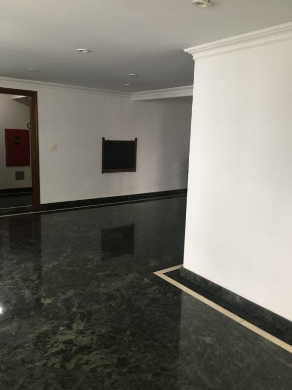 Apartamento à venda com 3 quartos, 215m² - Foto 18