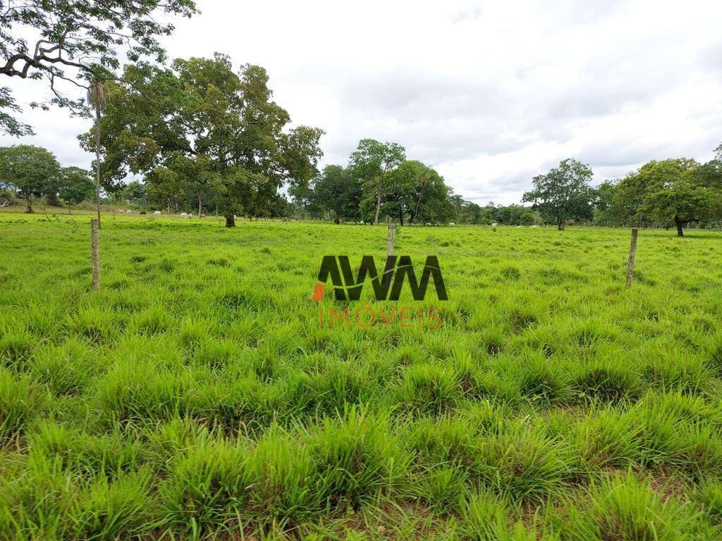 Fazenda à venda, 25748800M2 - Foto 21