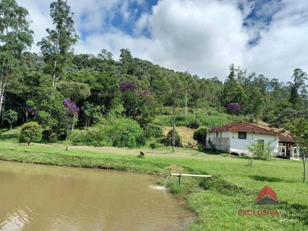 Sítio à venda com 2 quartos, 100m² - Foto 3