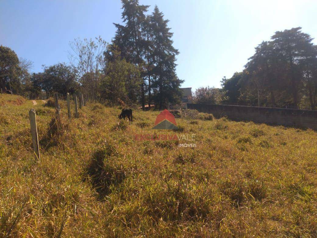 Chácara à venda com 1 quarto, 50m² - Foto 1