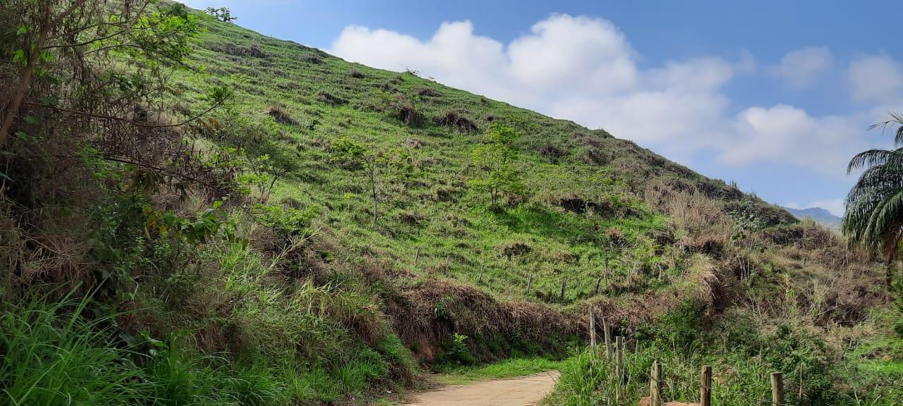 Fazenda à venda, 694m² - Foto 19