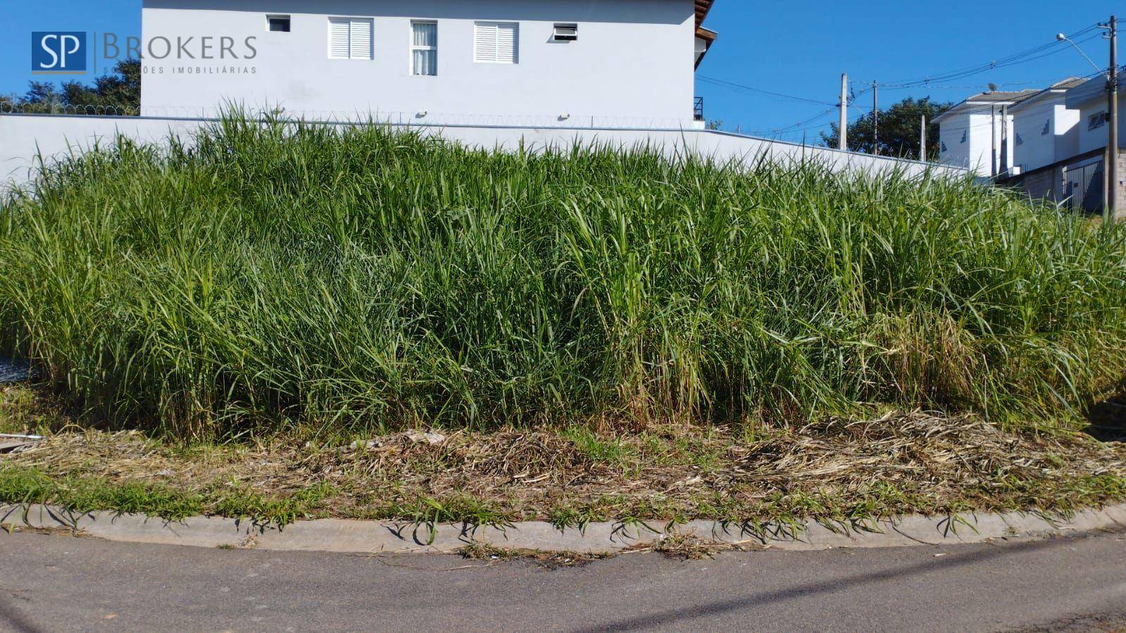 Terreno, 304 m² - Foto 3