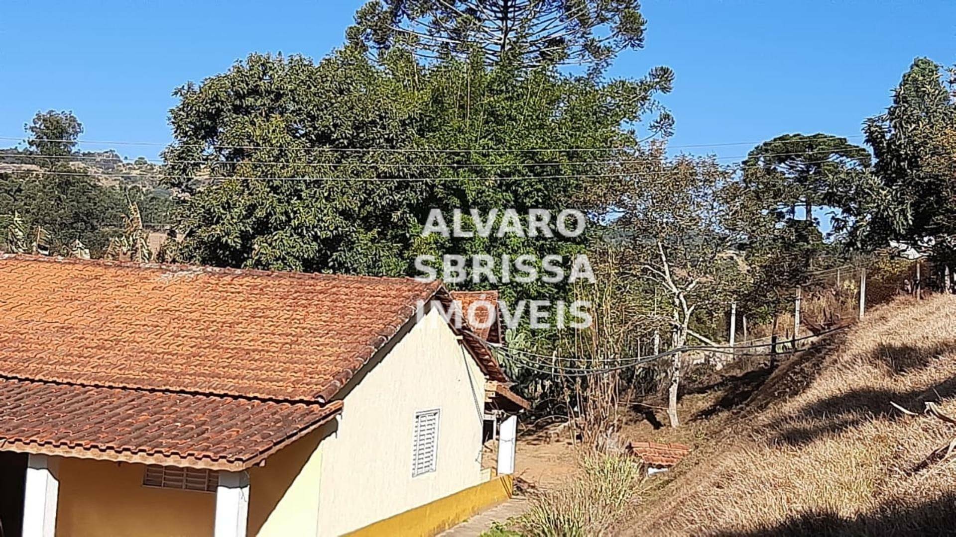 Chácara à venda com 3 quartos, 25000m² - Foto 27