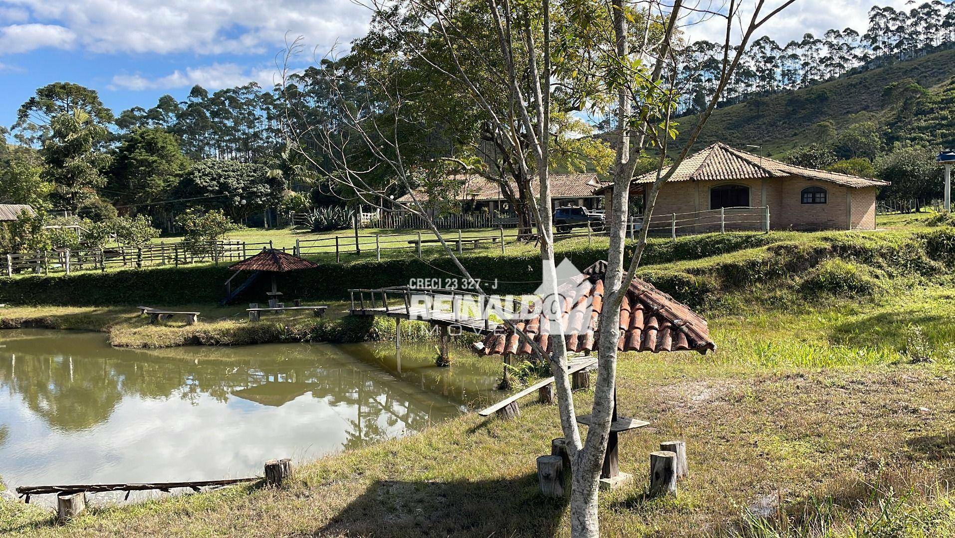 Fazenda à venda com 8 quartos, 900m² - Foto 51