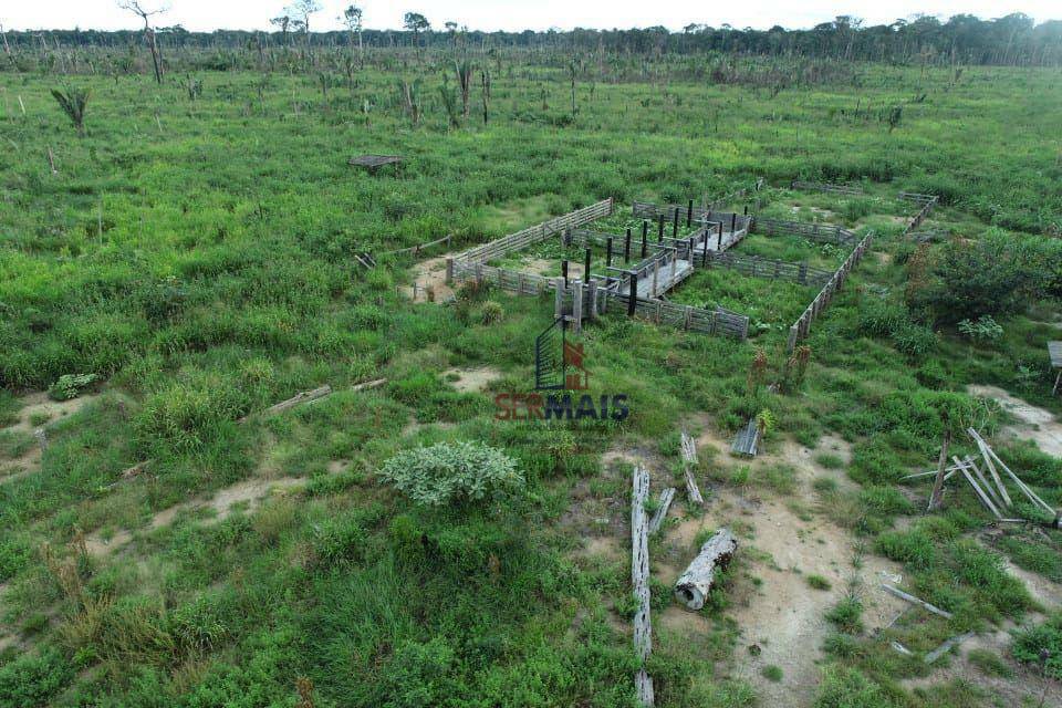 Fazenda-Sítio-Chácara, 702 hectares - Foto 4