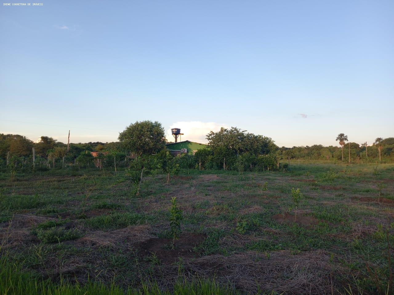 Fazenda à venda, 107000m² - Foto 5