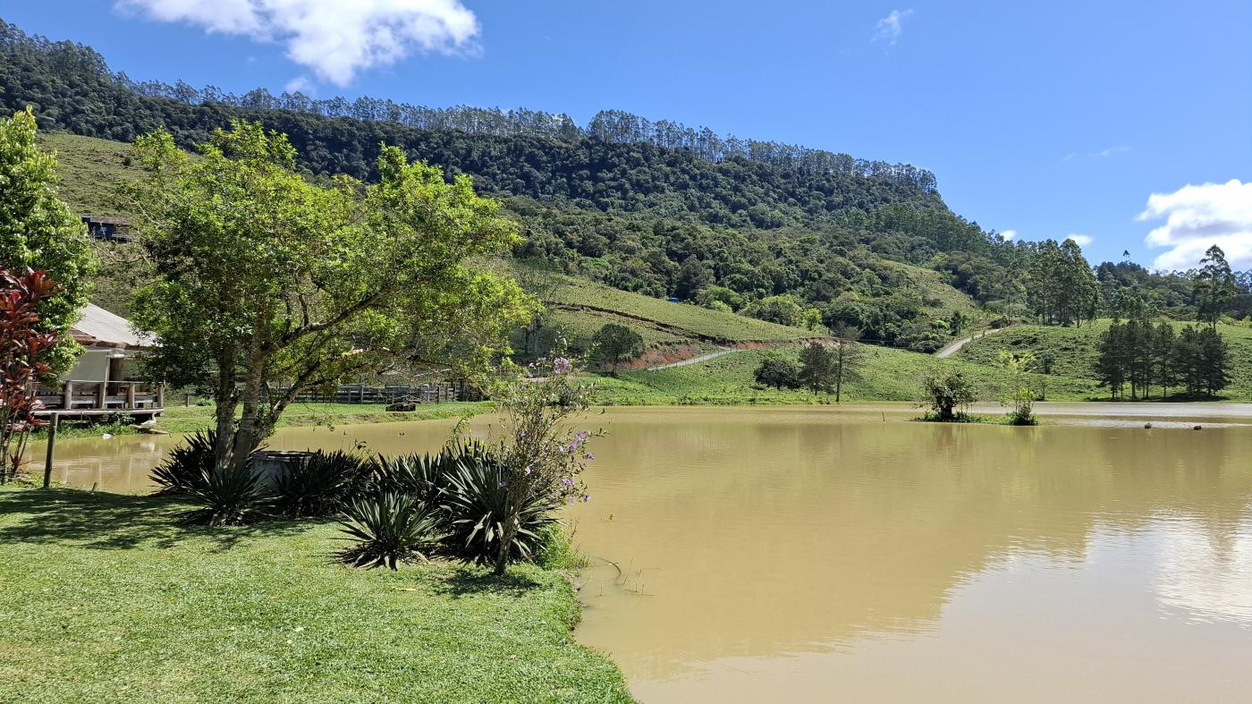 Fazenda à venda com 4 quartos, 1040000m² - Foto 38