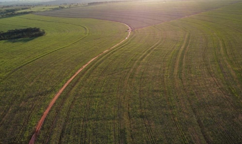 Fazenda à venda, 8615200M2 - Foto 7