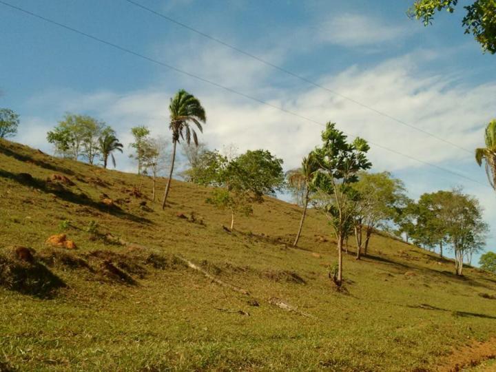 Chácara à venda - Foto 8