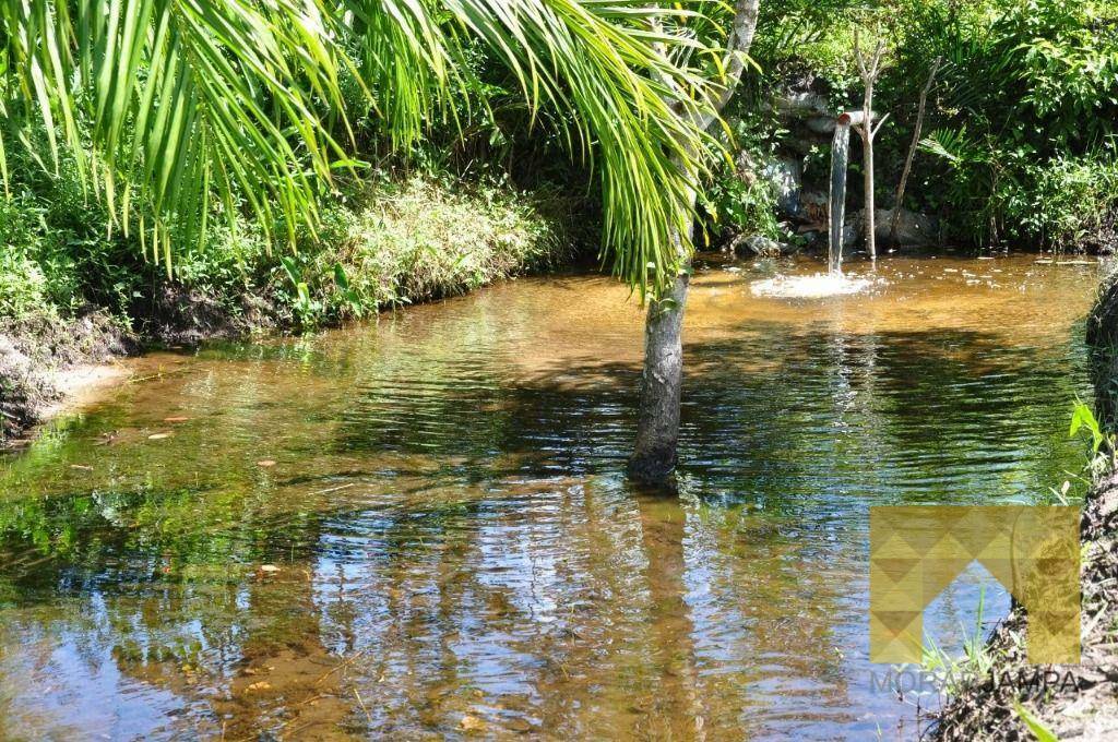 Chácara, 3 quartos, 16 hectares - Foto 4