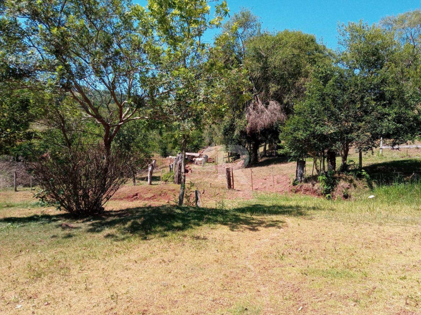 Terreno à venda, 242000M2 - Foto 16