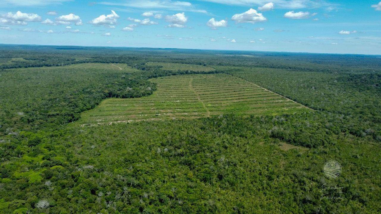 Fazenda à venda, 53620000M2 - Foto 2