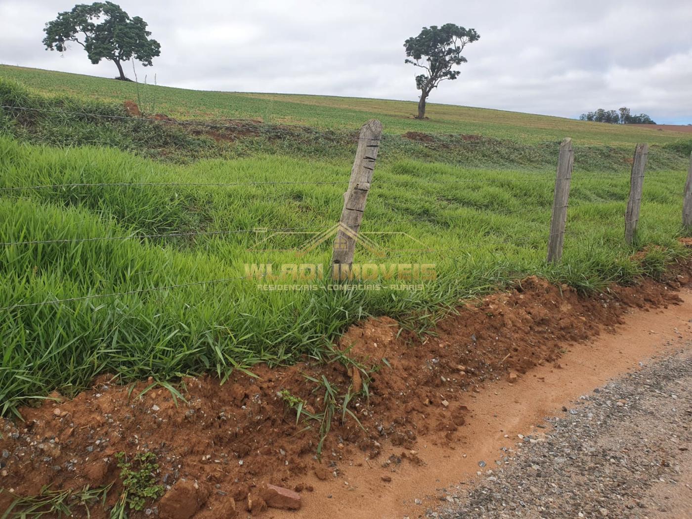 Fazenda à venda, 150m² - Foto 9