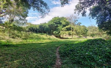 Fazenda à venda com 3 quartos, 200000m² - Foto 13