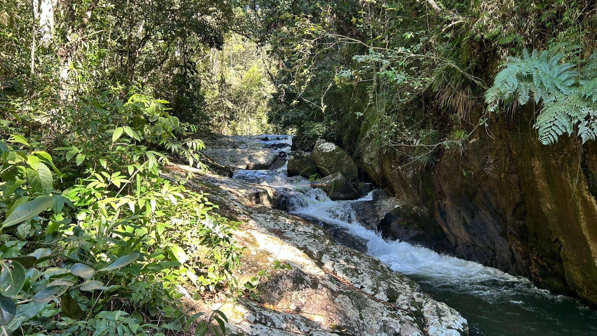 Sítio, 19 hectares - Foto 56