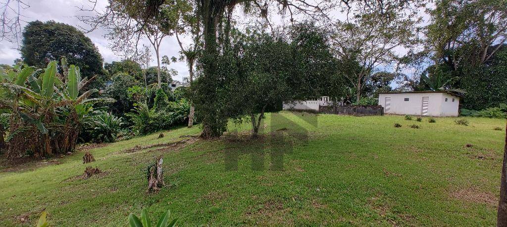 Terreno, 3393 m² - Foto 15