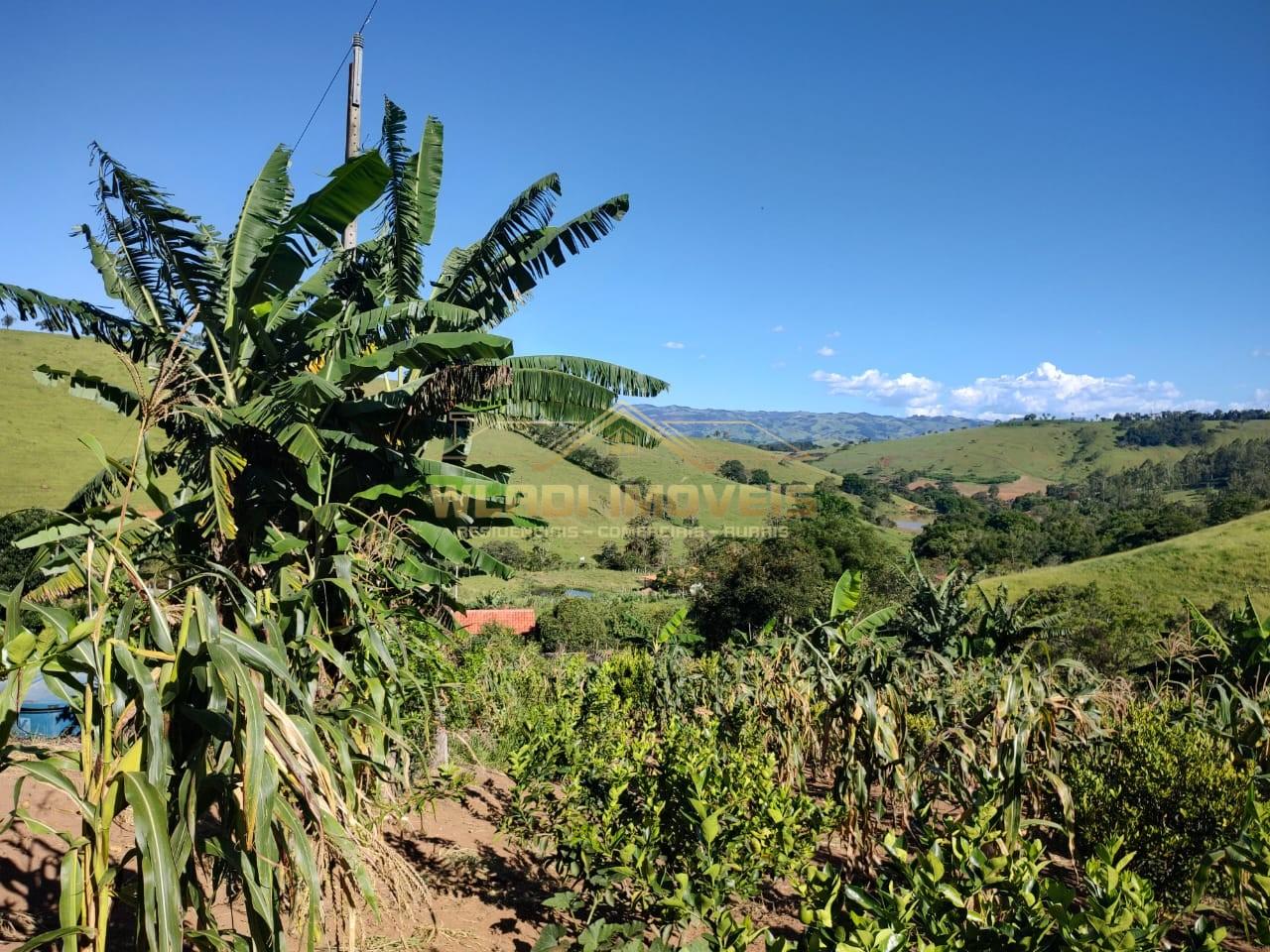 Chácara à venda, 5000m² - Foto 3