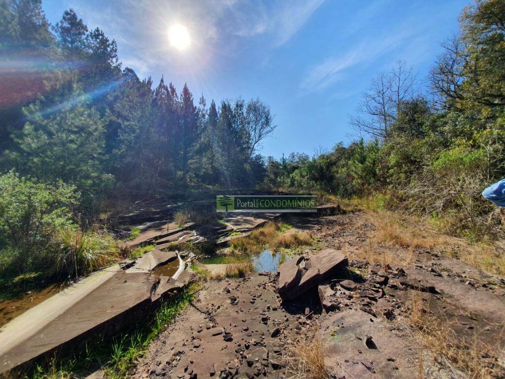 Terreno à venda, 15600M2 - Foto 2