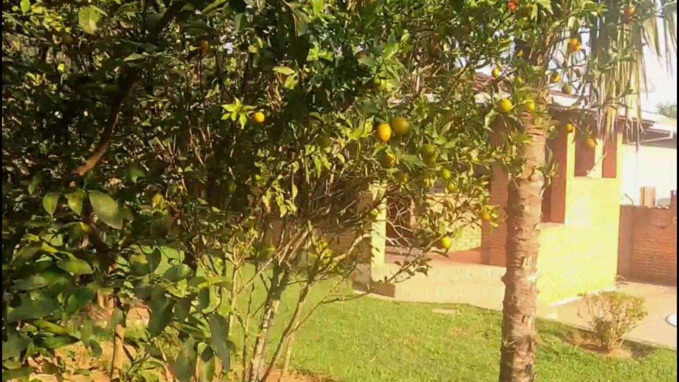 Casa de Condomínio à venda com 3 quartos, 1000m² - Foto 40