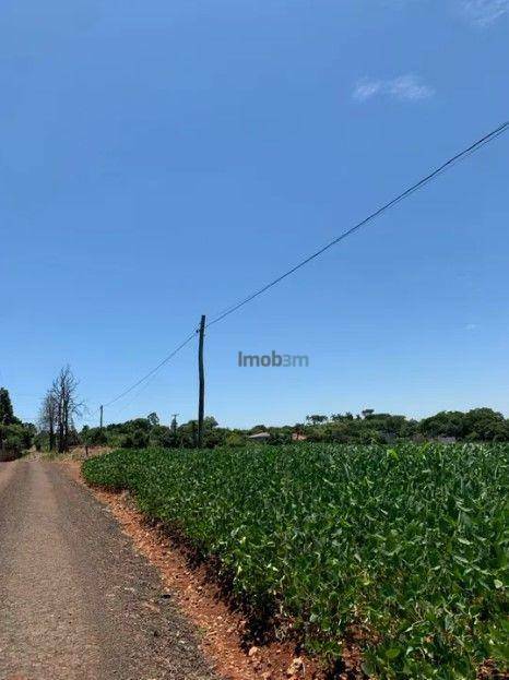 Chácara à venda com 2 quartos, 160m² - Foto 13