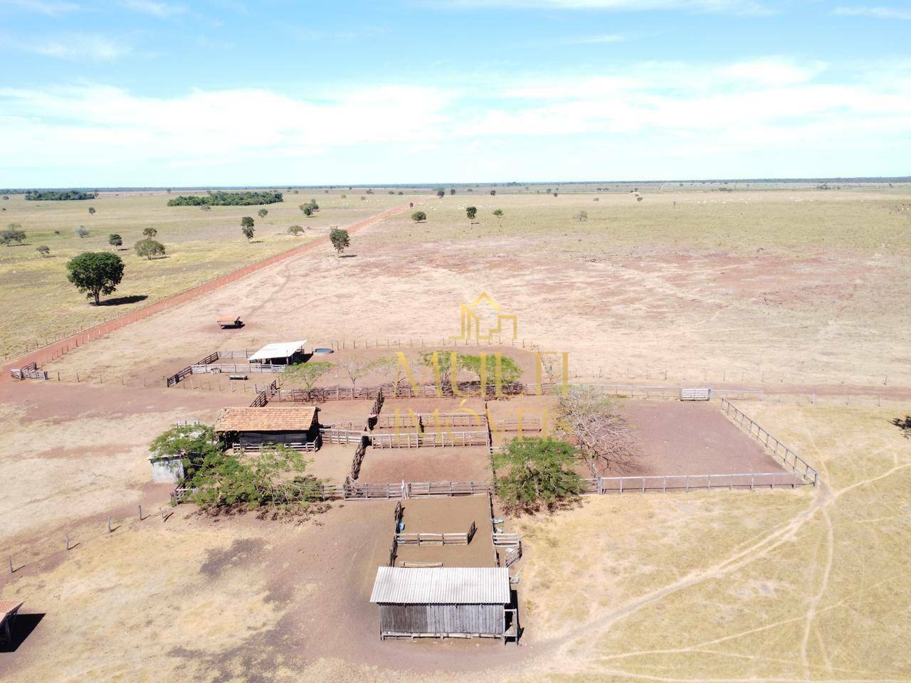 Fazenda à venda, 53380000M2 - Foto 6