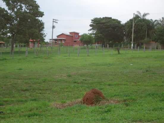 Casa de Condomínio à venda com 3 quartos - Foto 5