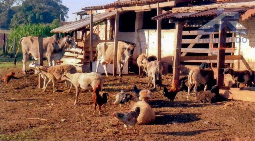 Sítio, 4 hectares - Foto 31