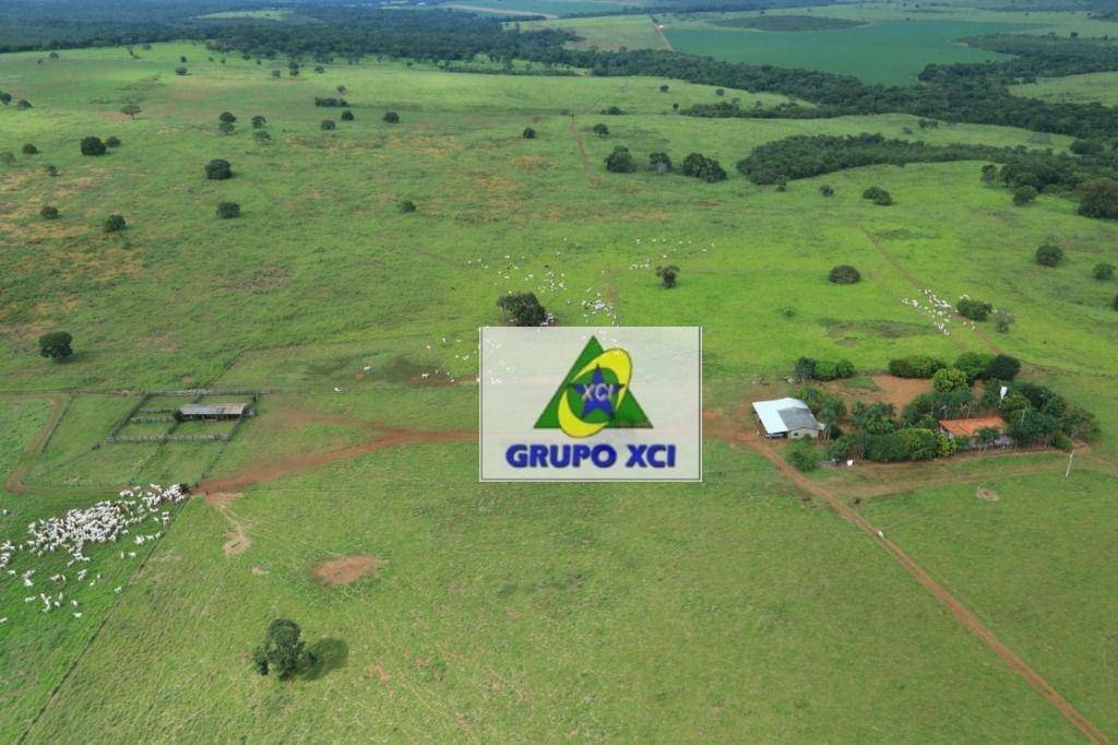 Fazenda, 785 hectares - Foto 2