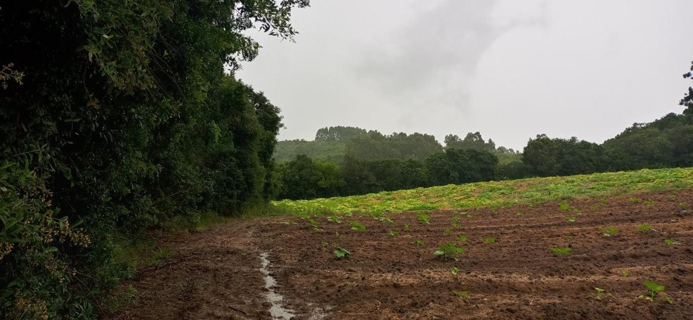 Loteamento e Condomínio à venda, 48000m² - Foto 2