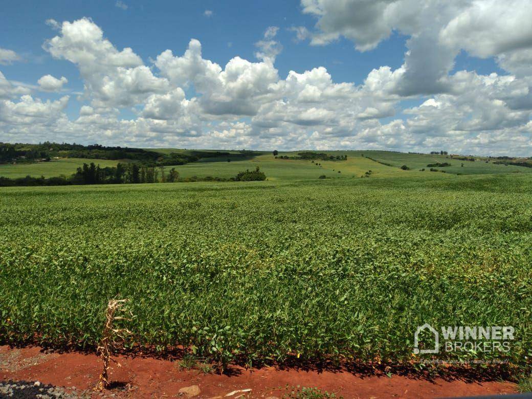 Chácara à venda com 1 quarto, 63400M2 - Foto 3